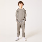 Ytr Qd Fleece Crew 11.0 - Boulder Green