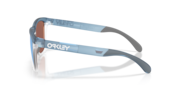 Frogskins™ Range XL (Low Bridge Fit) - Matte Transparent Stonewash