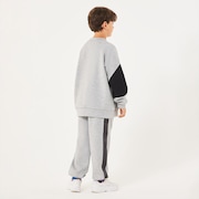 Ytr Qd Fleece Block Crew 10.0 - New Athletic Grey
