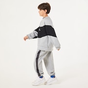 Ytr Qd Fleece Block Crew 10.0 - New Athletic Grey