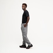 Calça Oakley Cargo Zip - Shadow