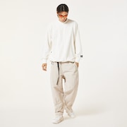 Arctic White