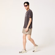 Allmighty Shorts 5.0Inch 2.0 - Bark