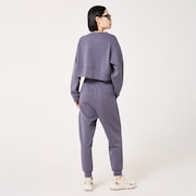 Radiant Peach Fleece Jogger 11.0 - Gray Dust