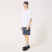 Fgl Karn Shorts 6.0 - Gray Dust