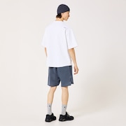 Fgl Karn Shorts 6.0 - Gray Dust