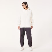 Arctic White
