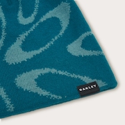 Ellipse Graphic Beanie - New Balsam