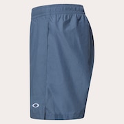 Allmighty Shorts 7.0Inch 2.0 - Gray Dust
