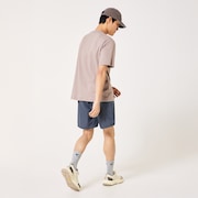 Allmighty Shorts 7.0Inch 2.0 - Gray Dust