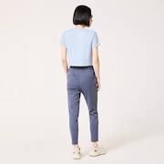 Radiant Synchronism Pt 11.0 - Gray Dust