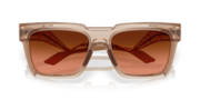 Damian Lillard Signature Series Enigma Ink - Transparent Warm Brown
