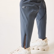 Fusion Flex Neo Pants 1.0 - Gray Dust