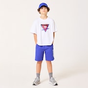 Ytr Shore Shorts 11.0 - Sapphire