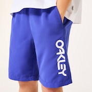 Ytr Shore Shorts 11.0 - Sapphire