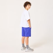 Ytr Shore Shorts 11.0 - Sapphire