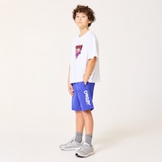Ytr Shore Shorts 11.0 - Sapphire