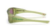 Permian - Matte Transparent Fern