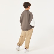 Ytr Qd Fleece Block Crew 10.0 - Plum
