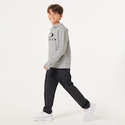 Ytr Dry Tech Cotton Fleece Hoody 10.0 - New Athletic Grey