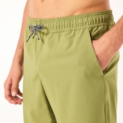 Transport Hybrid Packable Short 19" - Fern