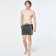 B1B Color Block Beachshort 16 - New Dark Brush