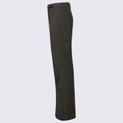 Cedar 2.0 Pant - New Dark Brush