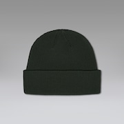 Essential Multi Beanie Fa 24.0 - Moss Green