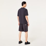 Fgl Factor Shorts 5.0 - Phantom