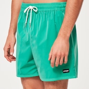 Robinson Rc 16" Beachshort - Mint Green