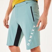 Free Ride Lined Short - Pacific