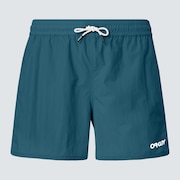All Day 16 Beach Short - Bayberry