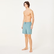 Performance Hybrid Short - Pacific