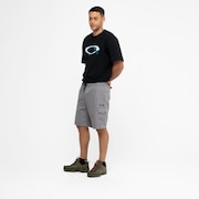 Bermuda Oakley Cargo Zip Shorts 21" - Mist