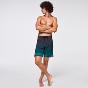 Shades 19 Boardshort - Black/Green Stripes