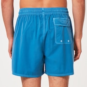 Robinson Rc 16" Beachshort - Bright Blue
