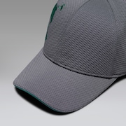 Skull Side Logo Cap Fa 26.0 - Gray Dust