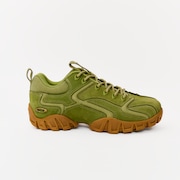 Fern