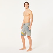 Striped 19'' Boardshort - Boulder Green