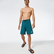 Palms B1B 20" Boardshort - Bayberry
