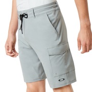 Cruiser Cargo Hybrid 21 - Steel Gray