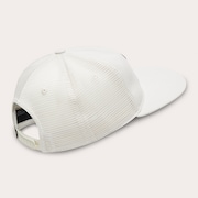 Session Trucker Graphic - Mist
