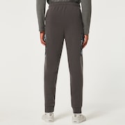 Road Trip Rc Cargo Sweatpants - Forged Iron