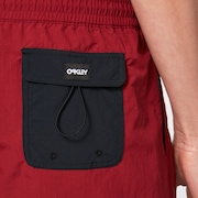 All Day 16 Beach Short - Iron Red