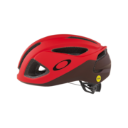 ARO3 - MIPS - RED