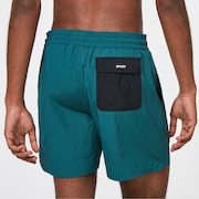 All Day 16 Beach Short - Bayberry