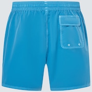 Robinson Rc 16" Beachshort - Bright Blue
