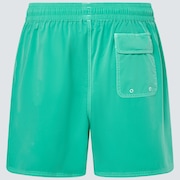 Robinson Rc 16" Beachshort - Mint Green