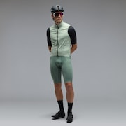 Faded Green
