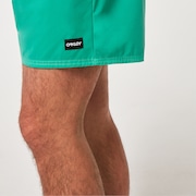 Robinson Rc 16" Beachshort - Mint Green